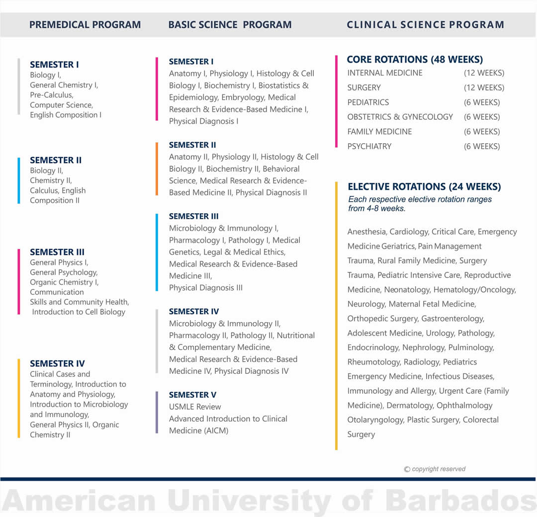 Studying Medicine